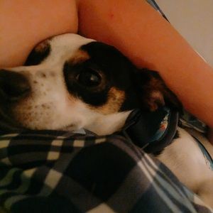 Meet your Posher, Vinh